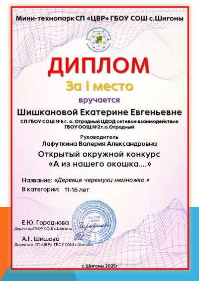 Открытый окружной конкурс «А из нашего окошка»