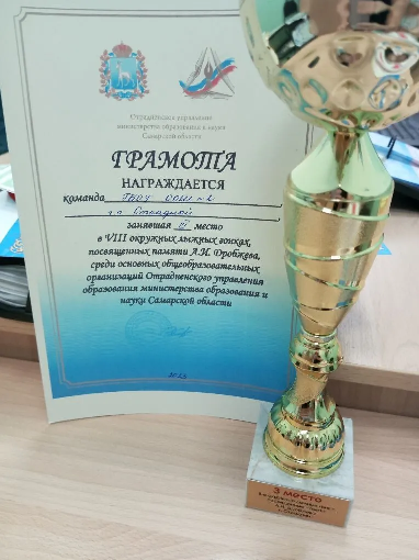Лыжные гонки.