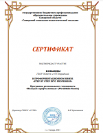 &laquo;Молодые профессионалы&raquo;
