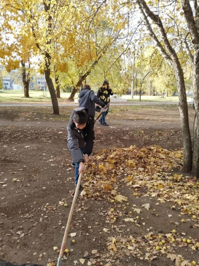 Уборка парка.