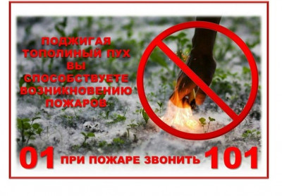 Памятка об опасности поджигания тополиного пуха. 