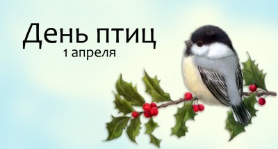 Международный день птиц.