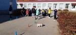 &laquo;Светофор и пешеход &ndash; лучшие друзья!&raquo;